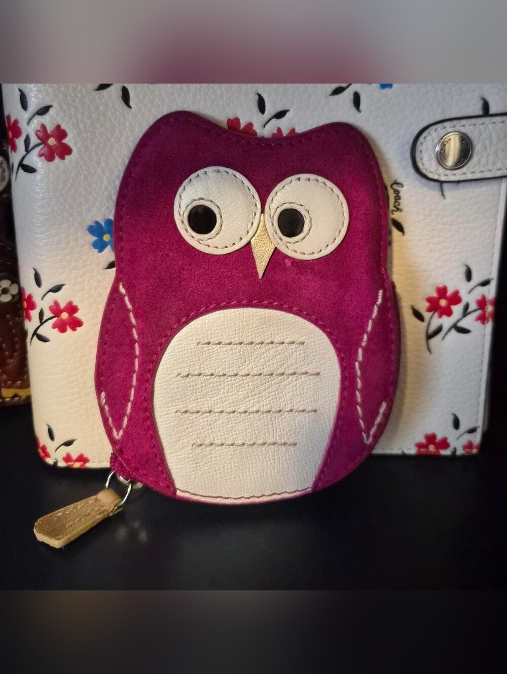 Coach Vintage Owl Case GUC